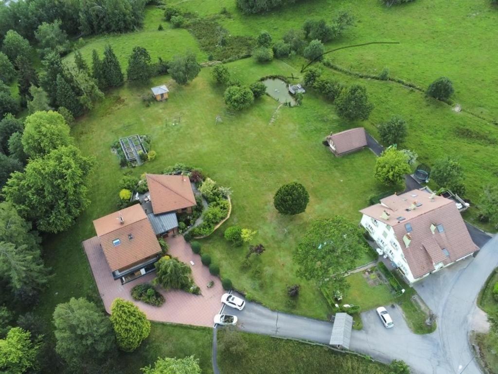 ※ Residence Pomme De Pin - Terrasse - Nature ※ Xonrupt-Longemer Eksteriør bilde