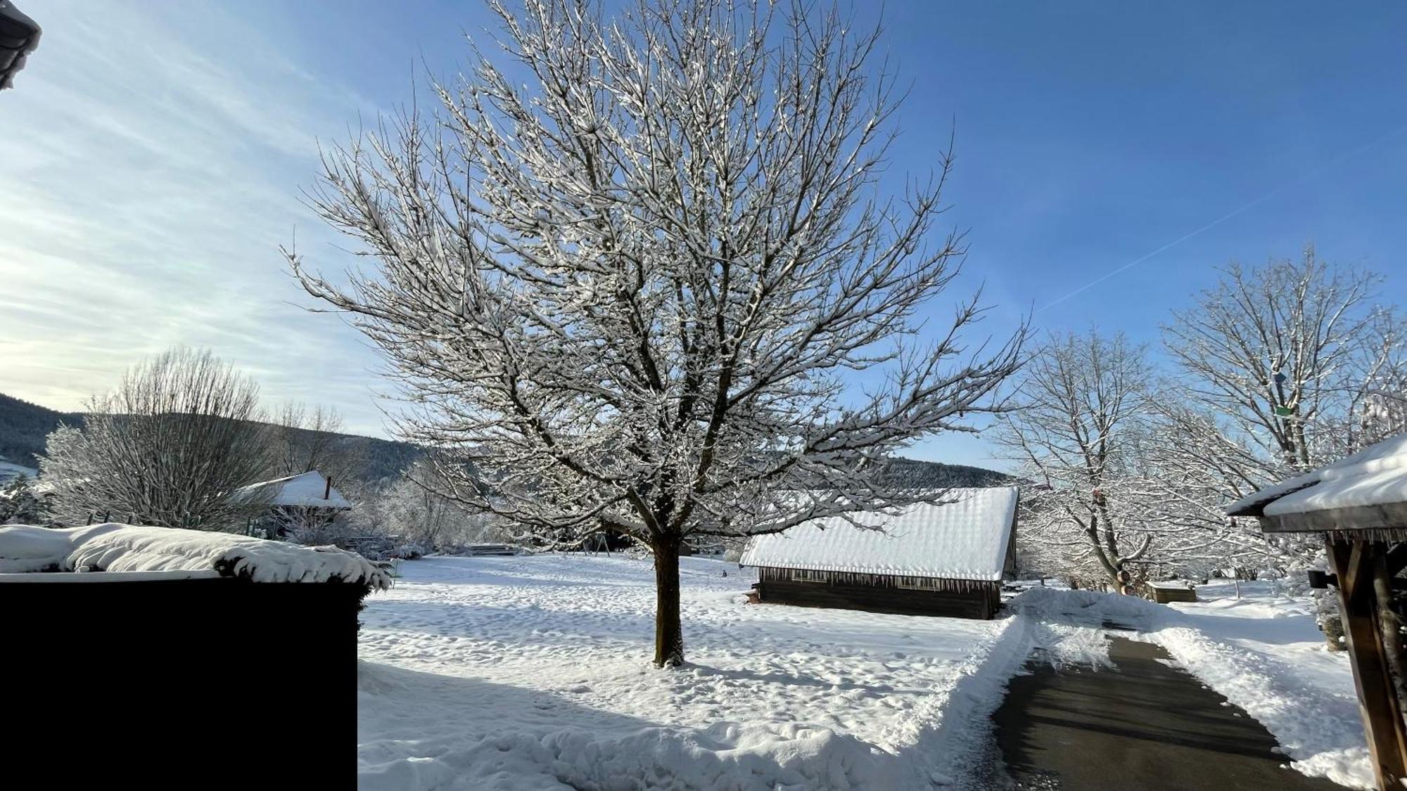 ※ Residence Pomme De Pin - Terrasse - Nature ※ Xonrupt-Longemer Eksteriør bilde